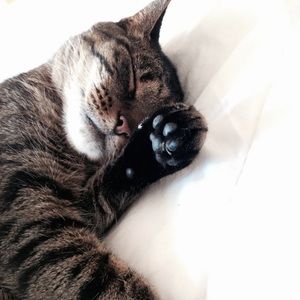 Meet your Posher, Joseph